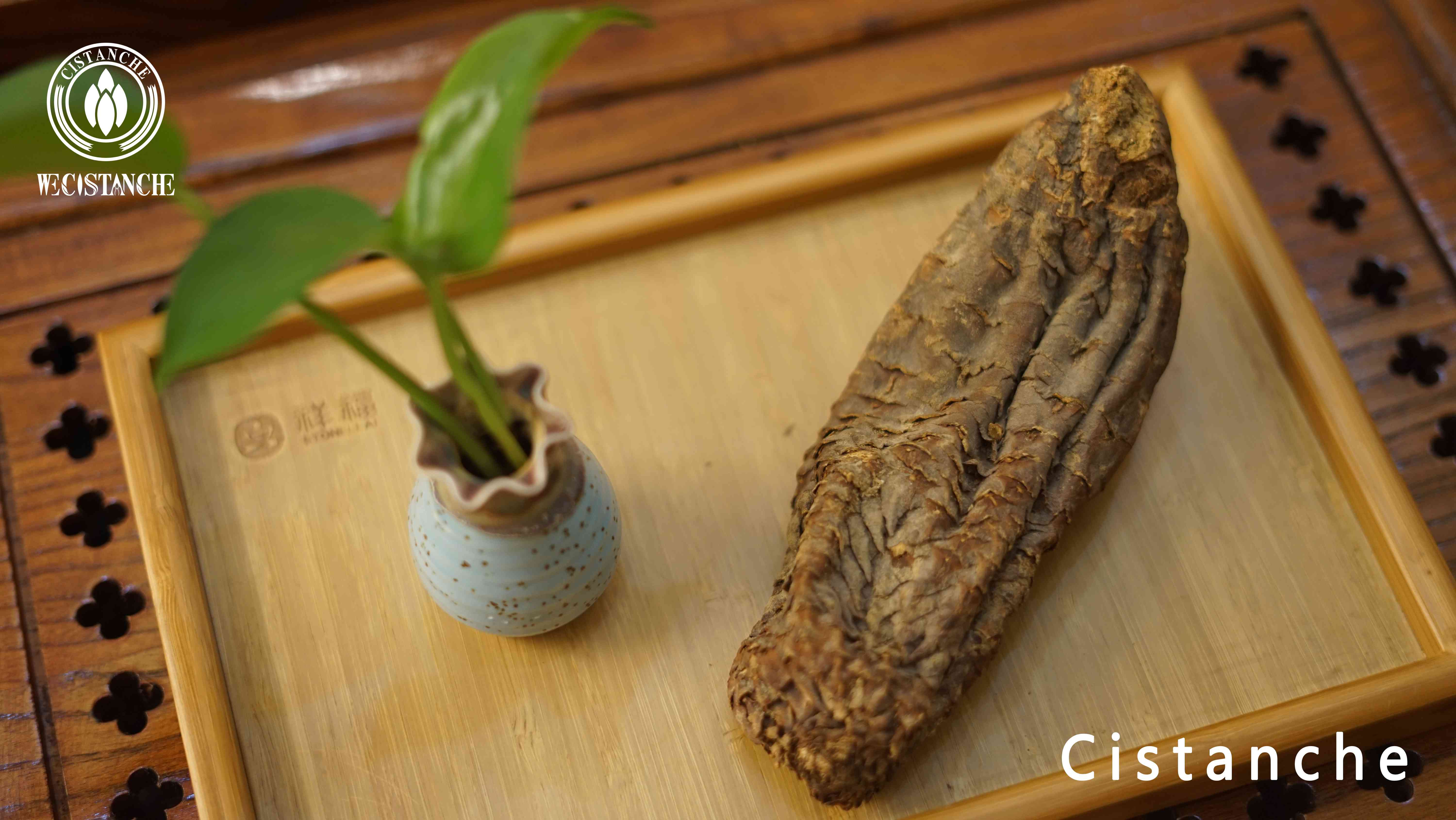 Succulent stems of dried Cistanche tubulosa Succulent stems of dried Cistanche tubulosa