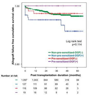 Figure 3. Kaplan–Meier estimates of death-censored allograf survival according to DGF and pre-sensitization  status.