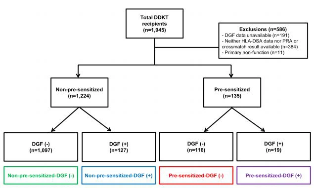 Figure 4. Distribution of the patient population according to DGF or pre-sensitization to HLA. DGF delayed  graf function, HLA human leukocyte antigen, DDKT deceased donor kidney transplantation, DSA donorspecifc antibody