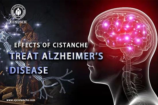 Anti Alzheimer's disease Anti Alzheimer's disease