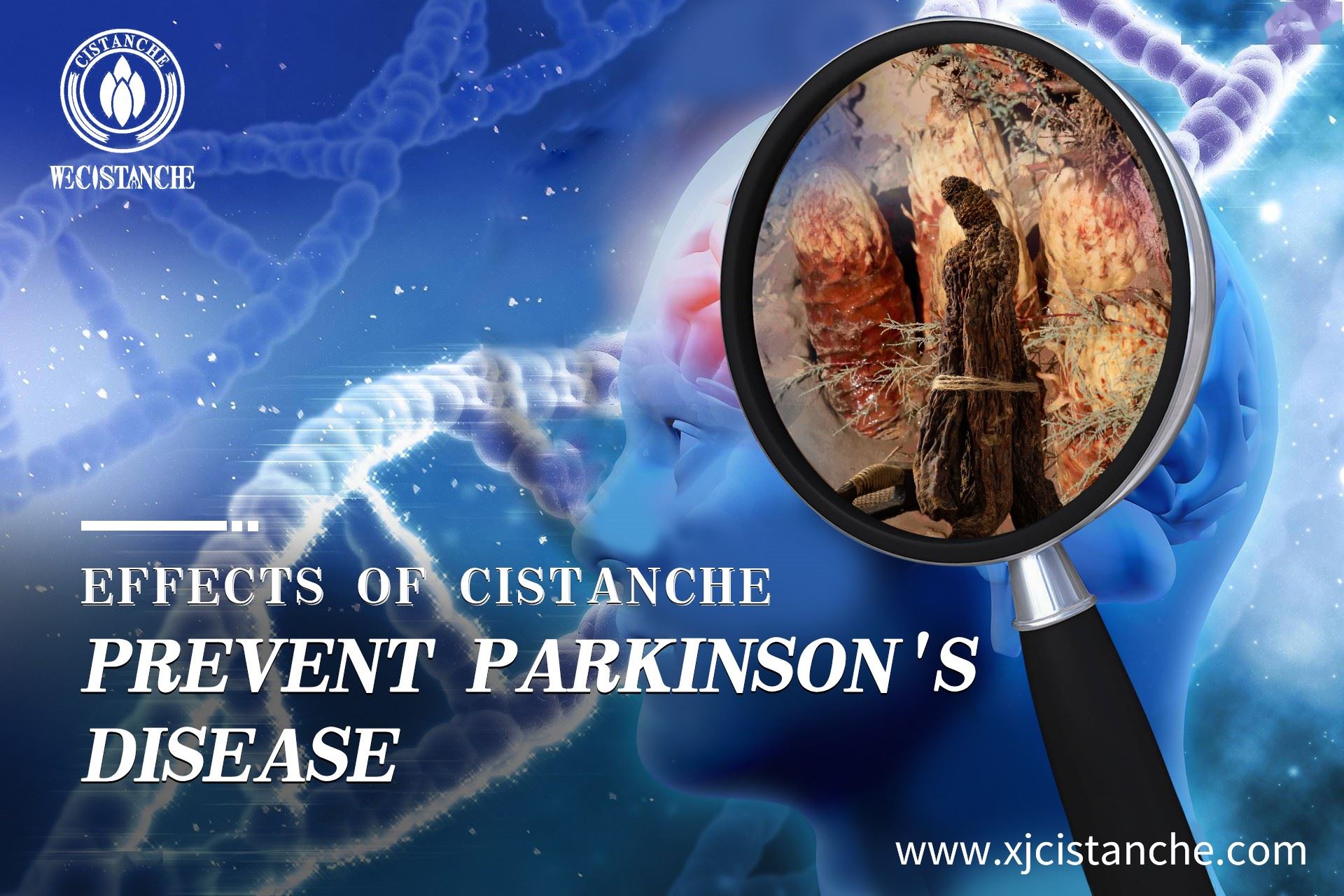 natural herb for parkinson's disease natural herb for parkinson's disease