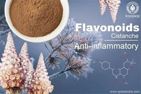 bioflavonoids anti-inflammatory