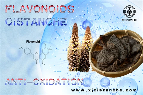 flavonoids antioxidant