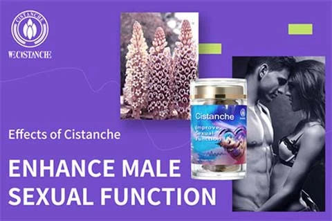 best herbs for erectile dysfunction best herbs for erectile dysfunction