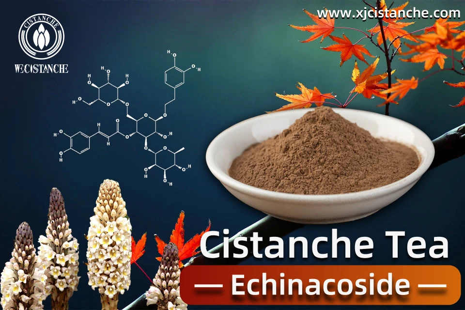 Cistanche tea Cistanche tea