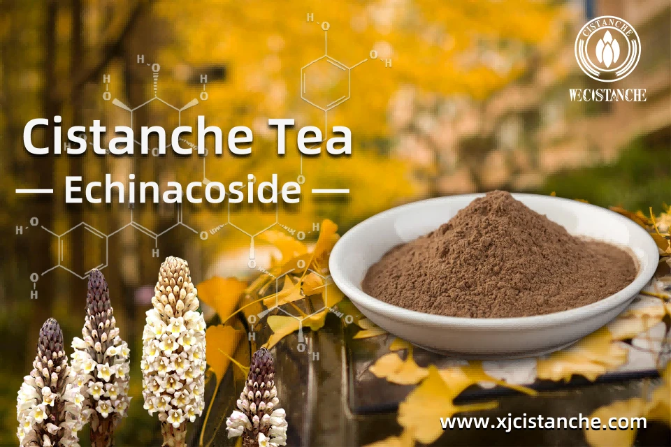 Cistanche application Cistanche application