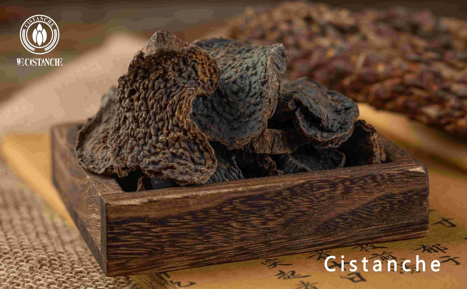 organic cistanche organic cistanche