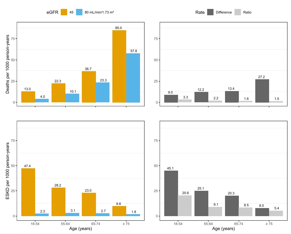25% Echinacoside 9% verbascoside 25% Echinacoside 9% verbascoside