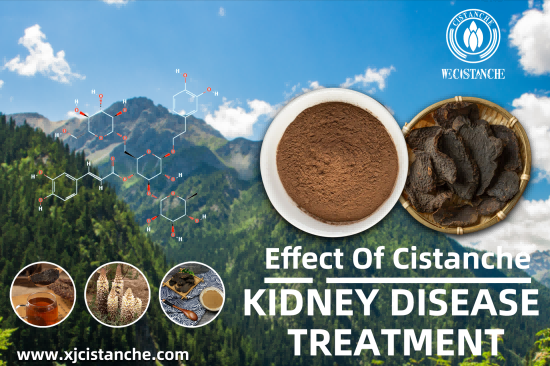 CISTANCHE EXTRACT WITH 25% ECHINACOSIDE AND 9% ACTEOSIDE CISTANCHE EXTRACT WITH 25% ECHINACOSIDE AND 9% ACTEOSIDE