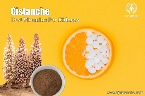 CISTANCHE EXTRACT WITH 25% ECHINACOSIDE AND 9% ACTEOSIDE FOR KIDNEY CISTANCHE EXTRACT WITH 25% ECHINACOSIDE AND 9% ACTEOSIDE FOR KIDNEY