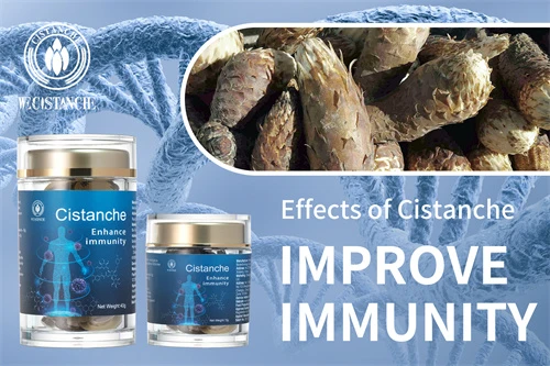 Desert ginseng-Improve immunity (6) Desert ginseng-Improve immunity (6)