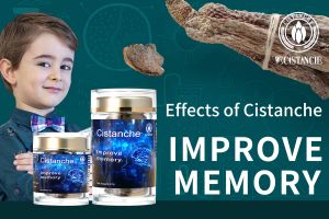 short term memory how to improve short term memory how to improve