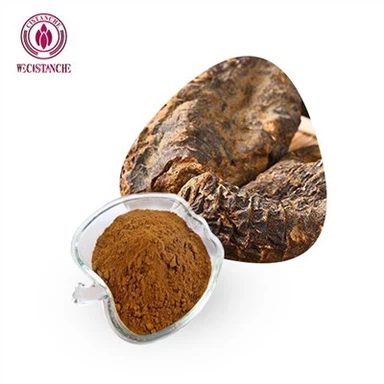 Cistanche Deserticola নির্যাস
