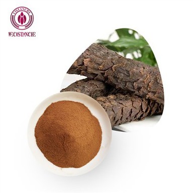 টেস্টোস্টেরন জন্য Cistanche