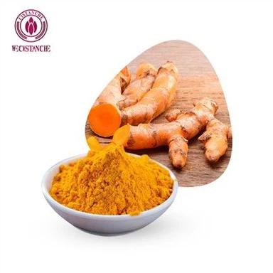 হলুদের মূল নির্যাস পাউডার