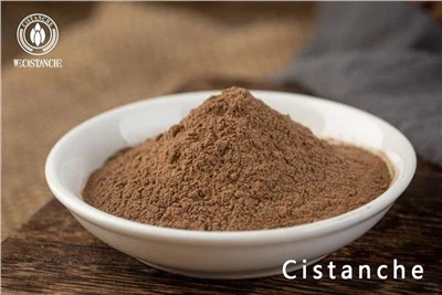 Cistanche Tubulosa এক্সট্র্যাক্ট প্রাকৃতিক সম্পূরক পাউডার